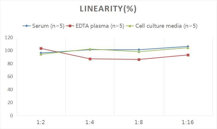 Human MMP-11 ELISA Kit (Colorimetric)