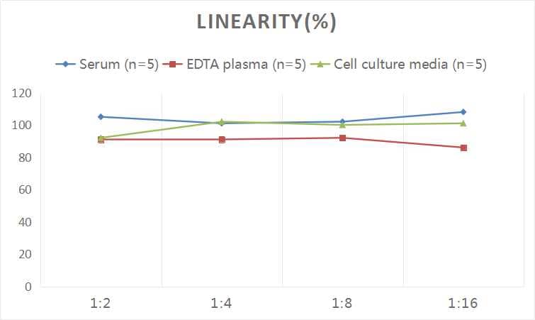 Human MMP-17 ELISA Kit (Colorimetric)