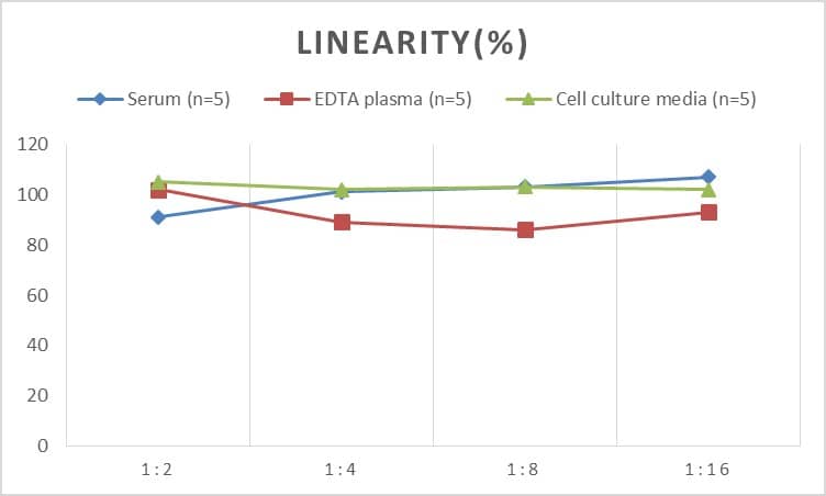 Mouse MMP-17 ELISA Kit (Colorimetric)