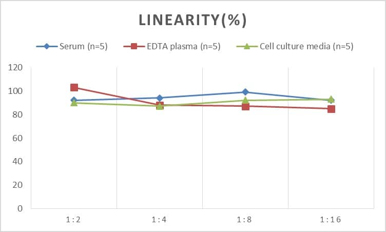 Rat MMP-17 ELISA Kit (Colorimetric)