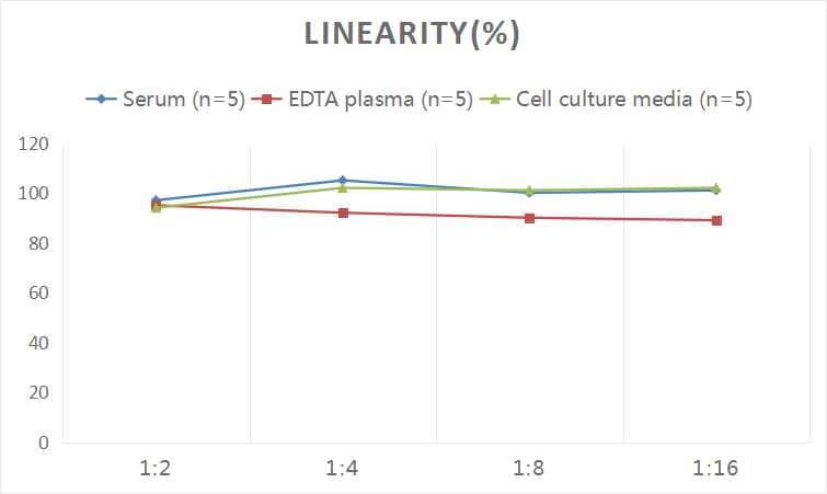 Human MMP-24/MT5-MMP ELISA Kit (Colorimetric)