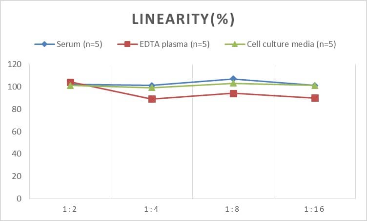 Rat MMP-24/MT5-MMP ELISA Kit (Colorimetric)