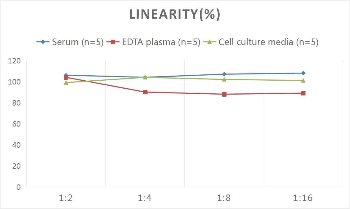 Rat MMP-3 ELISA Kit (Colorimetric)