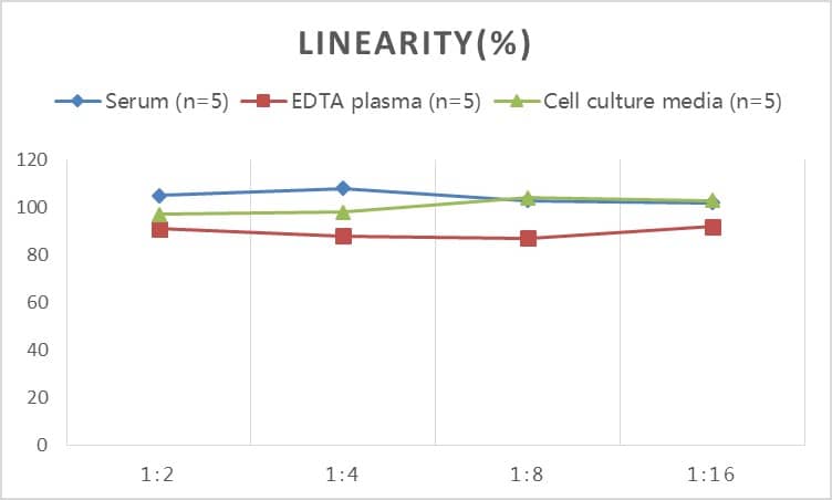 Rat MMP-7 ELISA Kit (Colorimetric)