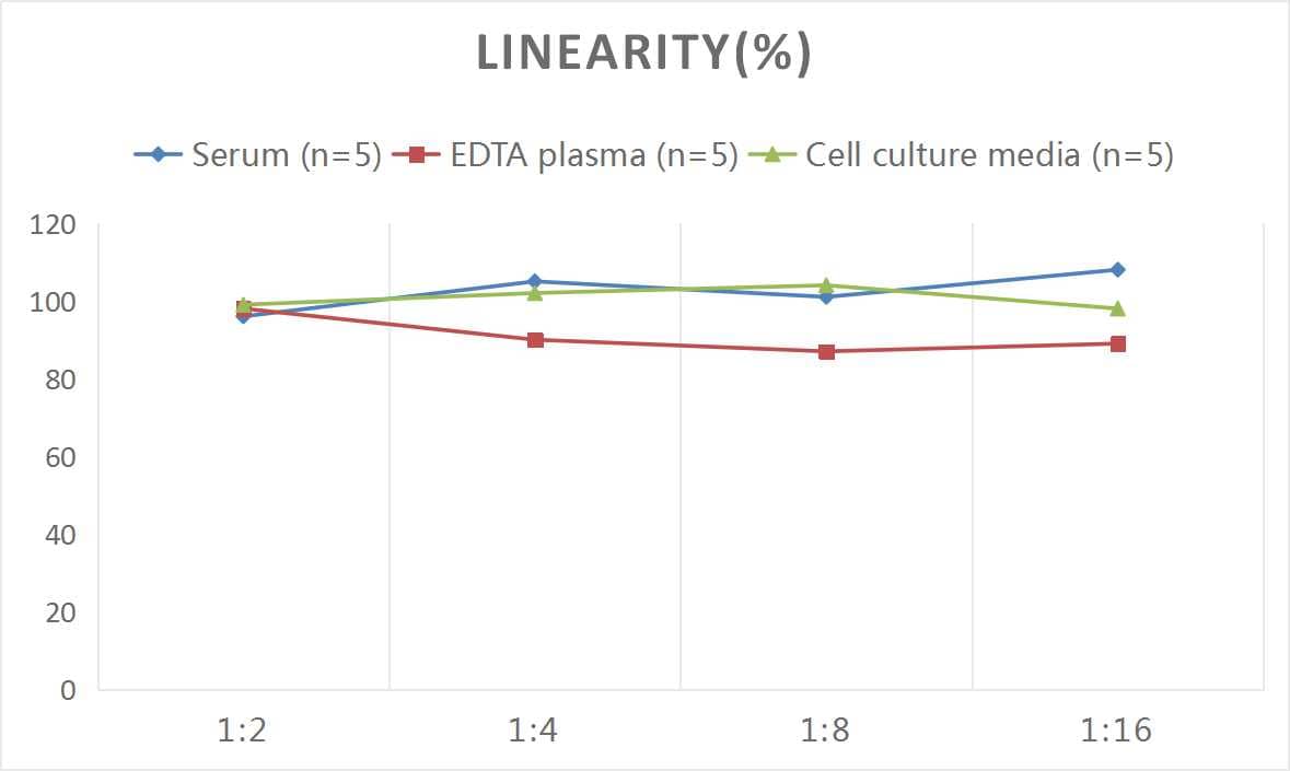 Mouse MMP-8 ELISA Kit (Colorimetric)