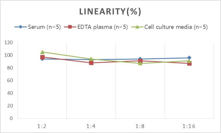 Rabbit MMP-3 ELISA Kit (Colorimetric)