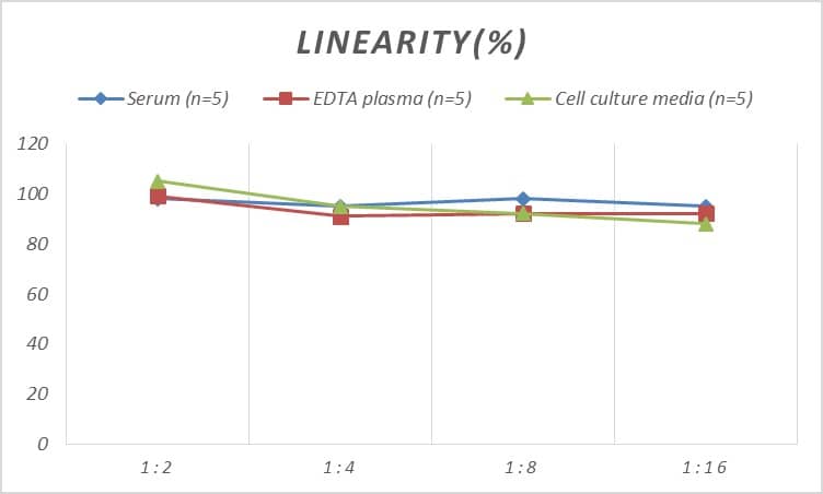 Rabbit MMP-8 ELISA Kit (Colorimetric)