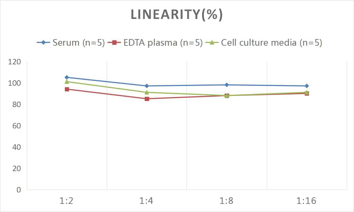 Mouse Plasmin-Antiplasmin Complex, PAP ELISA Kit (Colorimetric)