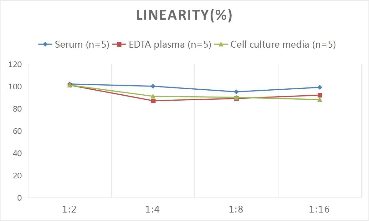 Human SerpinB2 ELISA Kit (Colorimetric)