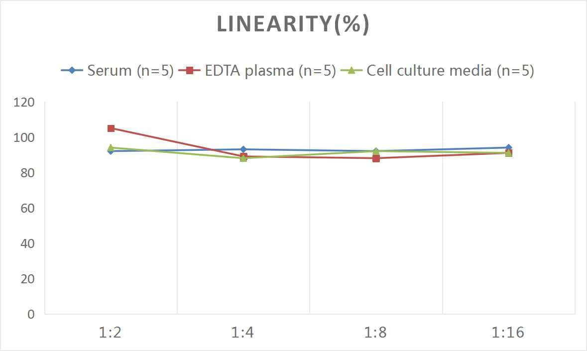 Rat SerpinB2 ELISA Kit (Colorimetric)