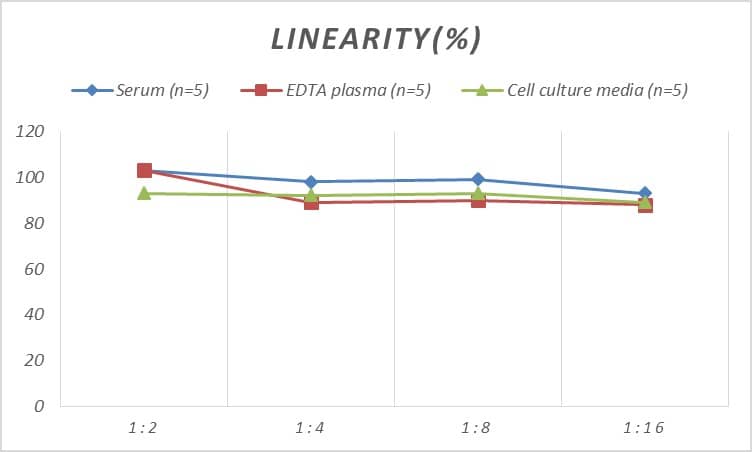 Human LAG-3 ELISA Kit (Colorimetric)