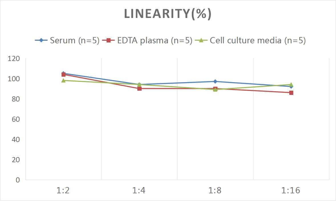 Human ROMO1 ELISA Kit (Colorimetric)