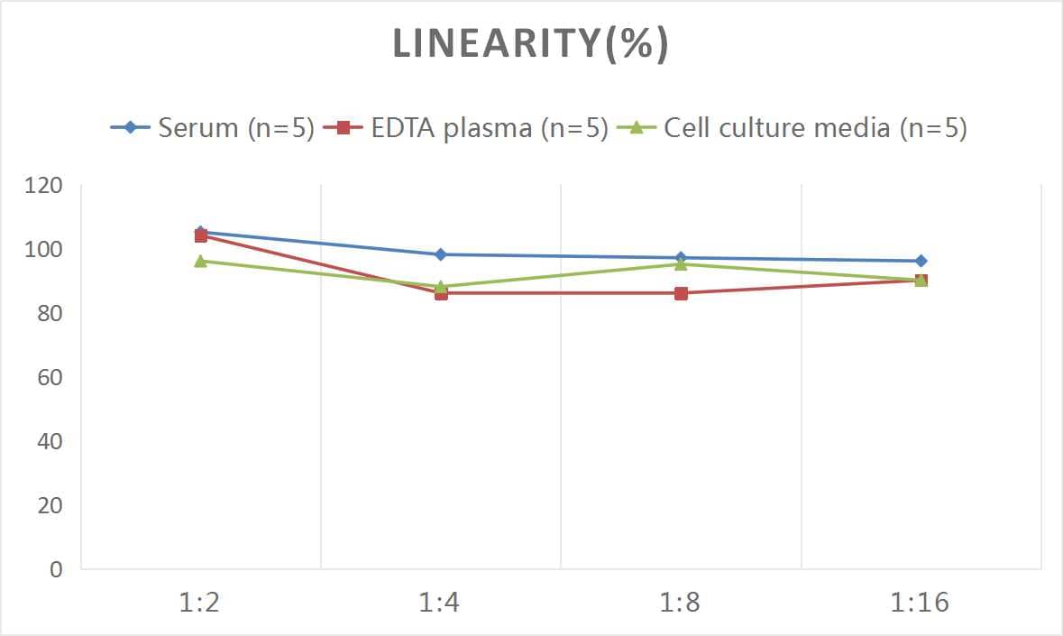 Mouse Elastin ELISA Kit (Colorimetric)