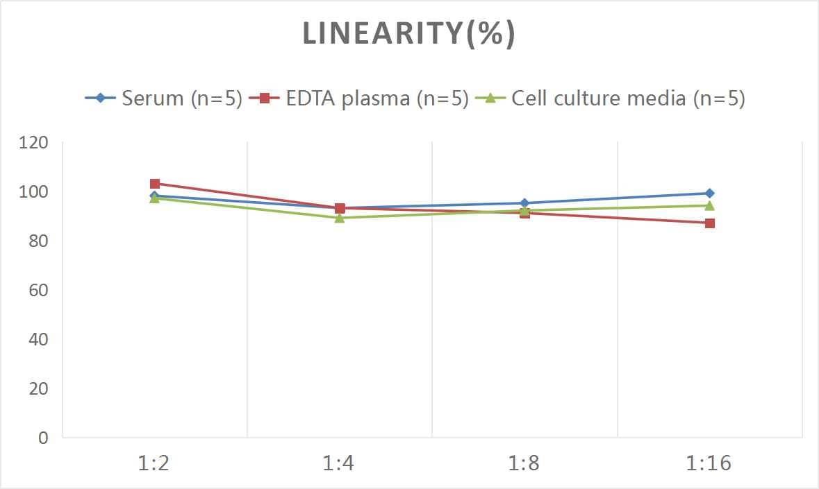 Rat Elastin ELISA Kit (Colorimetric)