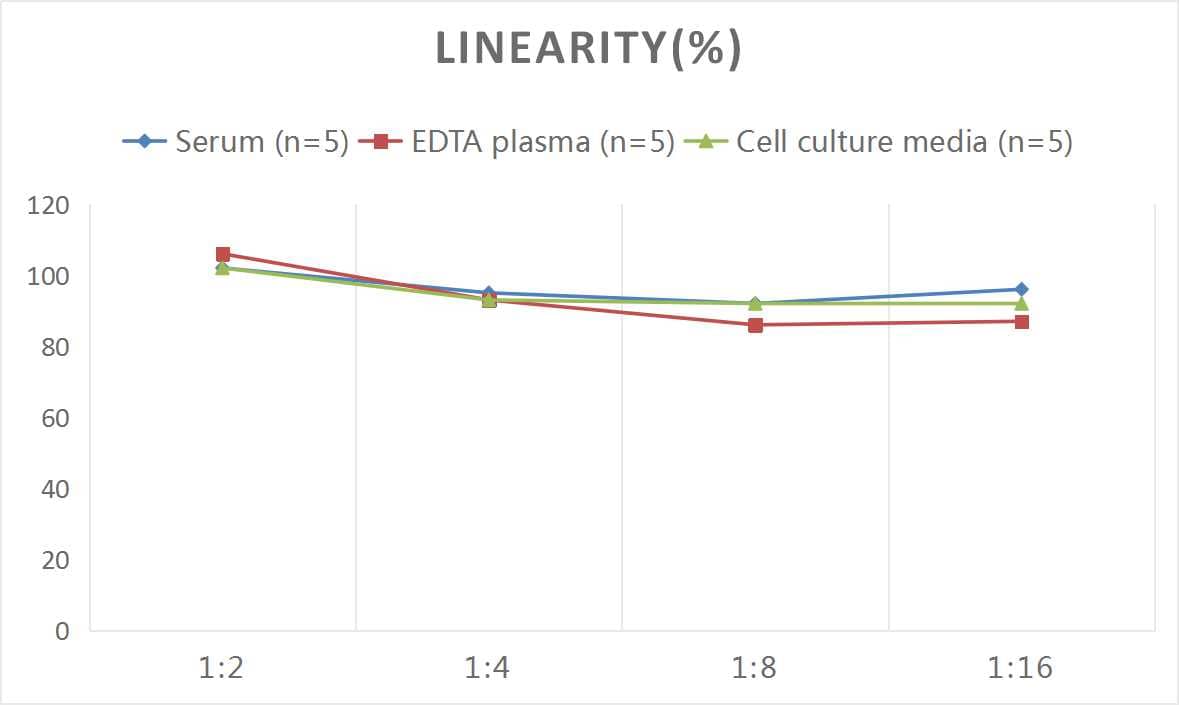 Human Tyrosine Hydroxylase ELISA Kit (Colorimetric)