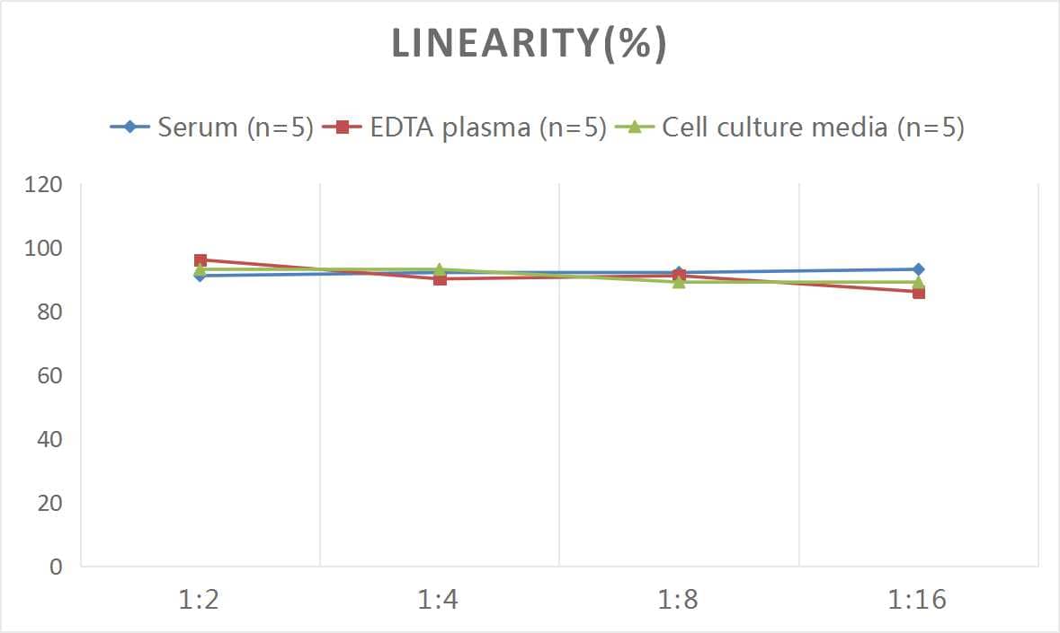 Mouse Tyrosine Hydroxylase ELISA Kit (Colorimetric)