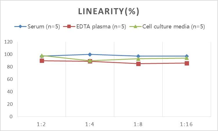 Rat Tyrosine Hydroxylase ELISA Kit (Colorimetric)