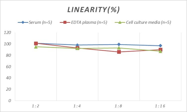 Mouse RNASET2 ELISA Kit (Colorimetric)