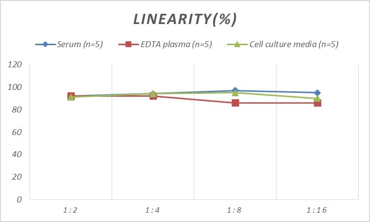 Rat RNASET2 ELISA Kit (Colorimetric)