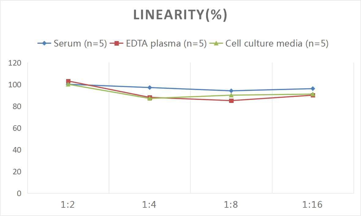 Mouse MMP-13 ELISA Kit (Colorimetric)