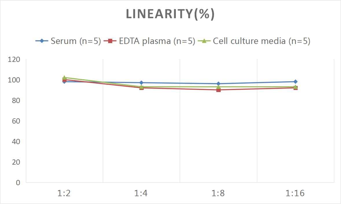 Mouse MMP-10 ELISA Kit (Colorimetric)