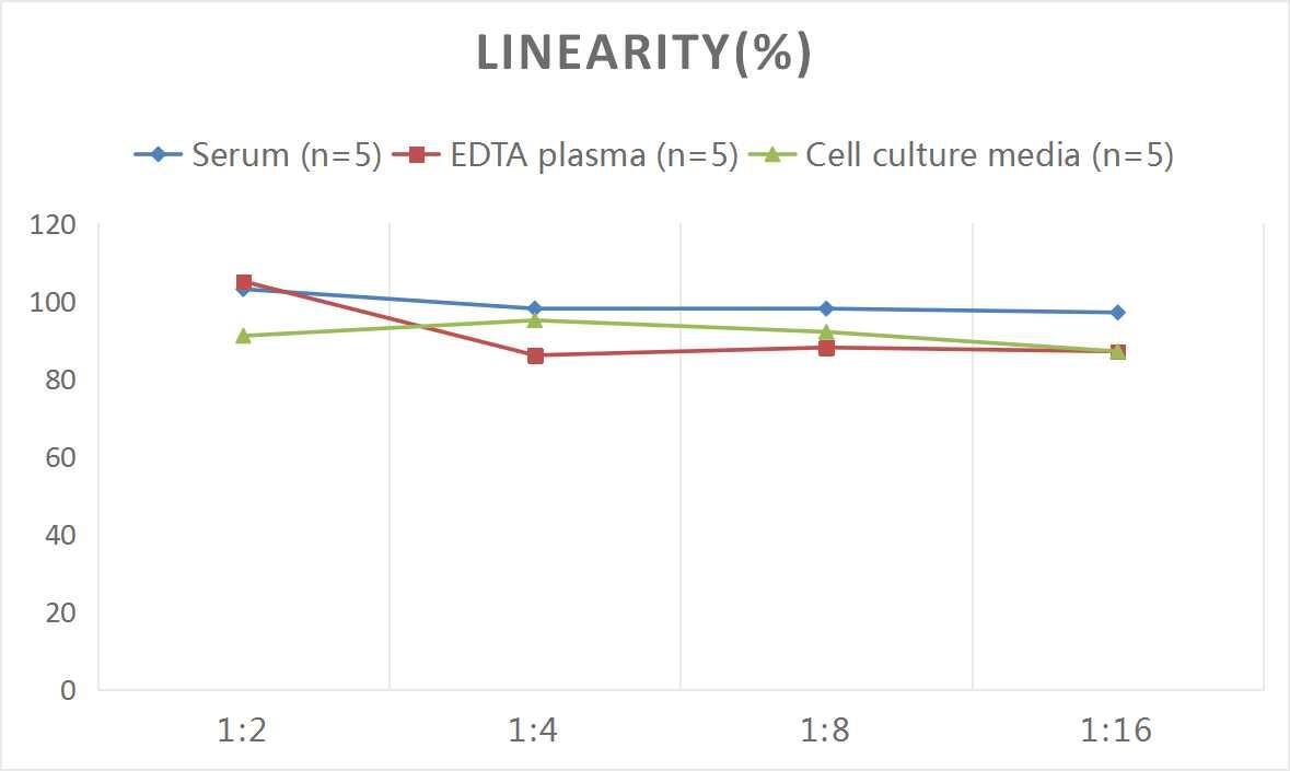 Rat MMP-10 ELISA Kit (Colorimetric)