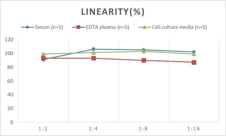 Mouse MMP-11 ELISA Kit (Colorimetric)