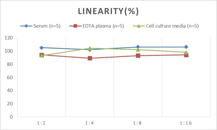 Rat MMP-11 ELISA Kit (Colorimetric)