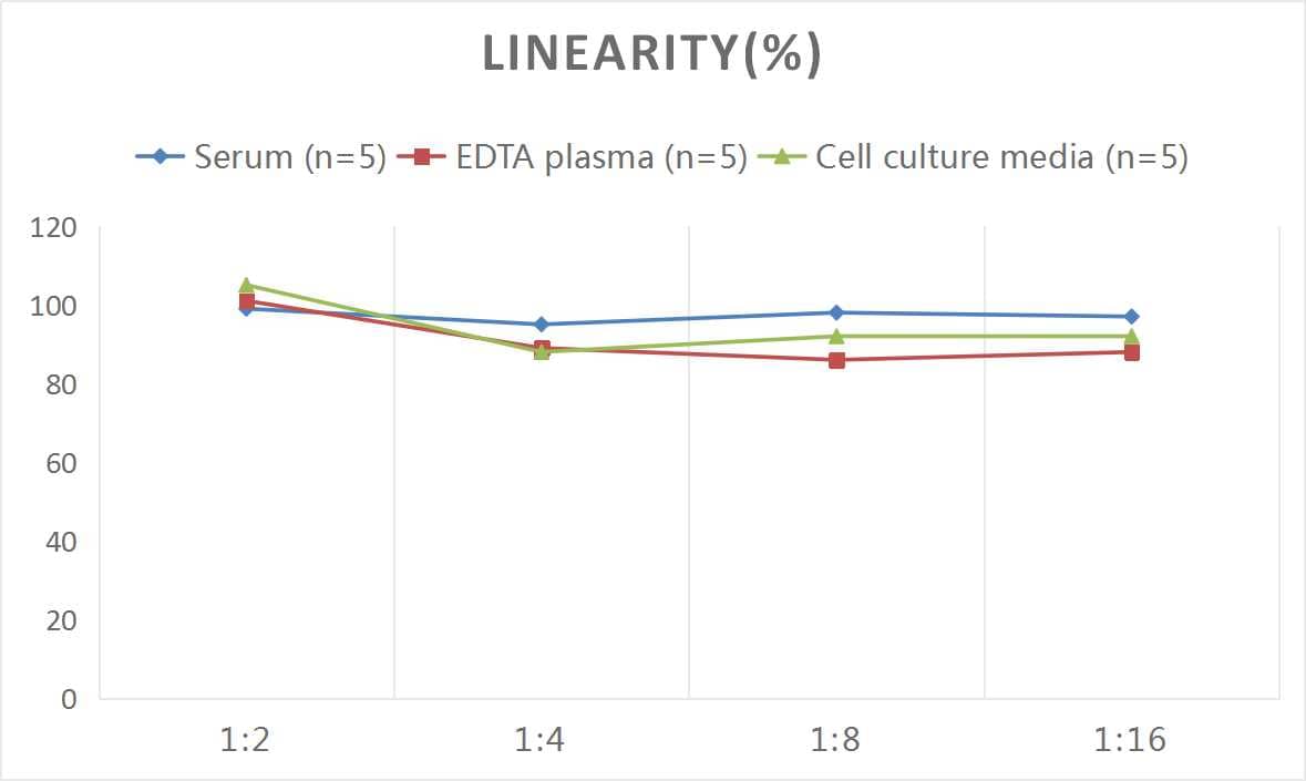 Human MMP-14/MT1-MMP ELISA Kit (Colorimetric)