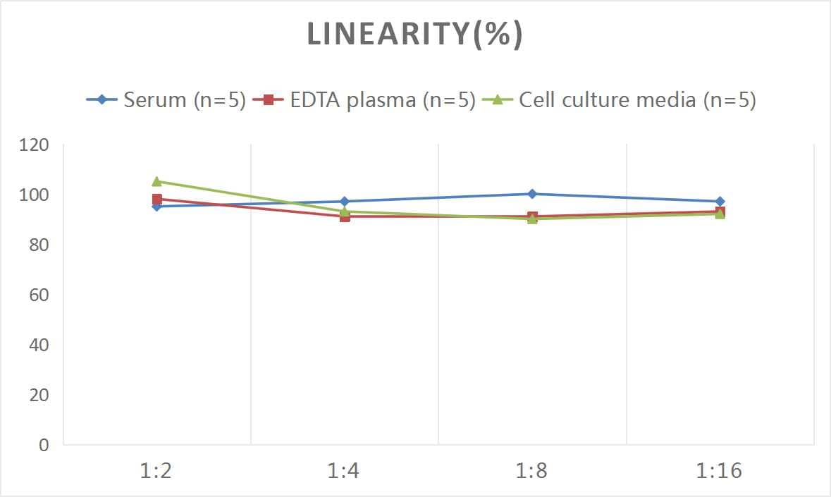 Mouse MMP-14/MT1-MMP ELISA Kit (Colorimetric)