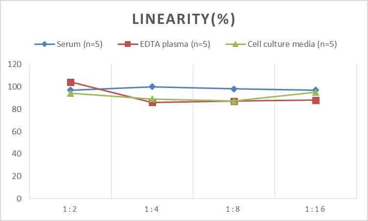 Rat MMP-14/MT1-MMP ELISA Kit (Colorimetric)