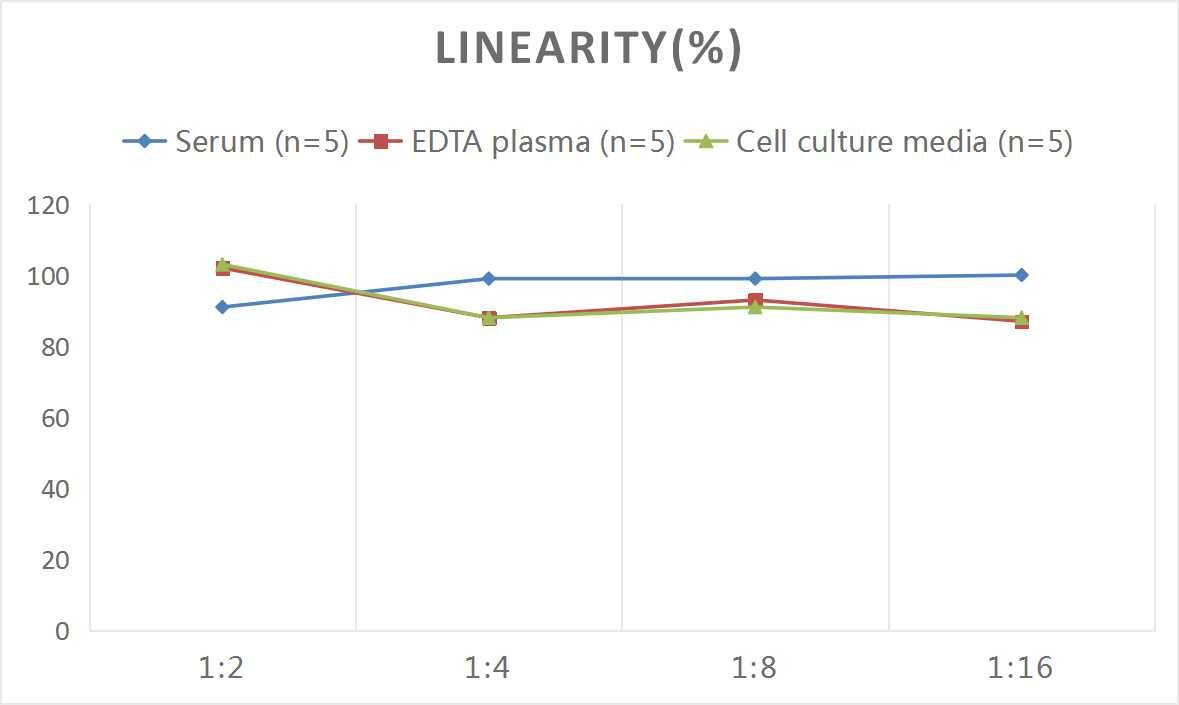 Human MMP23B ELISA Kit (Colorimetric)