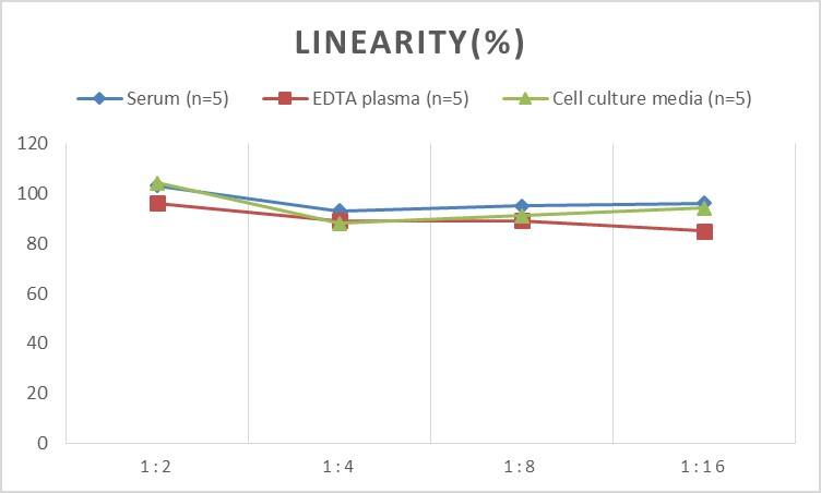 Human MMP-25/MT6-MMP ELISA Kit (Colorimetric)