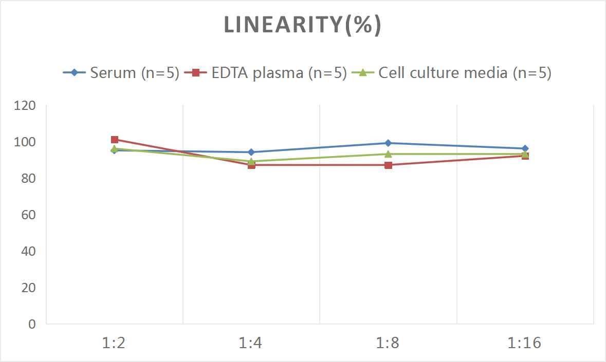 Rat S100A1 ELISA Kit (Colorimetric)