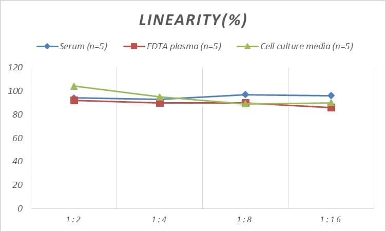 Mouse S100A6 ELISA Kit (Colorimetric)