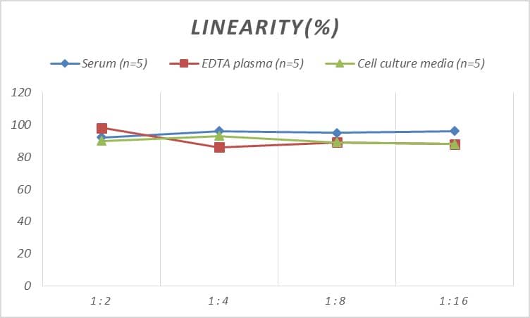 Rat S100A6 ELISA Kit (Colorimetric)