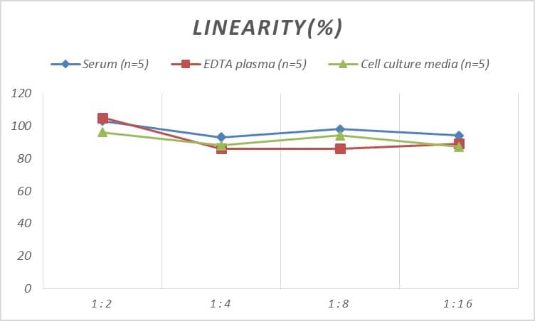 Rat S100A9 ELISA Kit (Colorimetric)