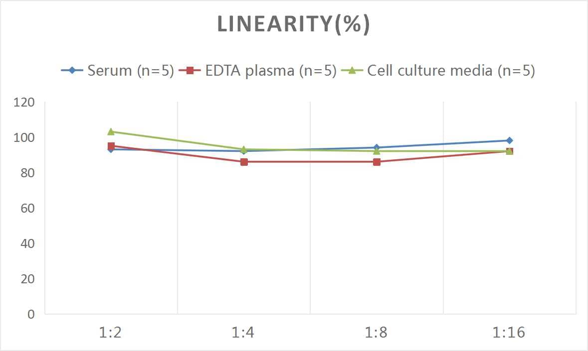 Rat SCF/c-kit Ligand ELISA Kit (Colorimetric)