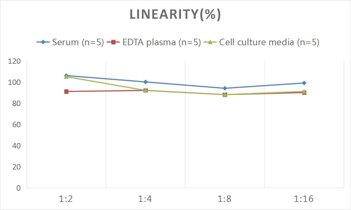 Human Carboxypeptidase B2/CPB2 ELISA Kit (Colorimetric)