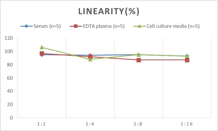 Mouse Carboxypeptidase B2/CPB2 ELISA Kit (Colorimetric)