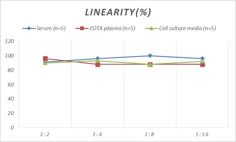 Rat Carboxypeptidase B2/CPB2 ELISA Kit (Colorimetric)