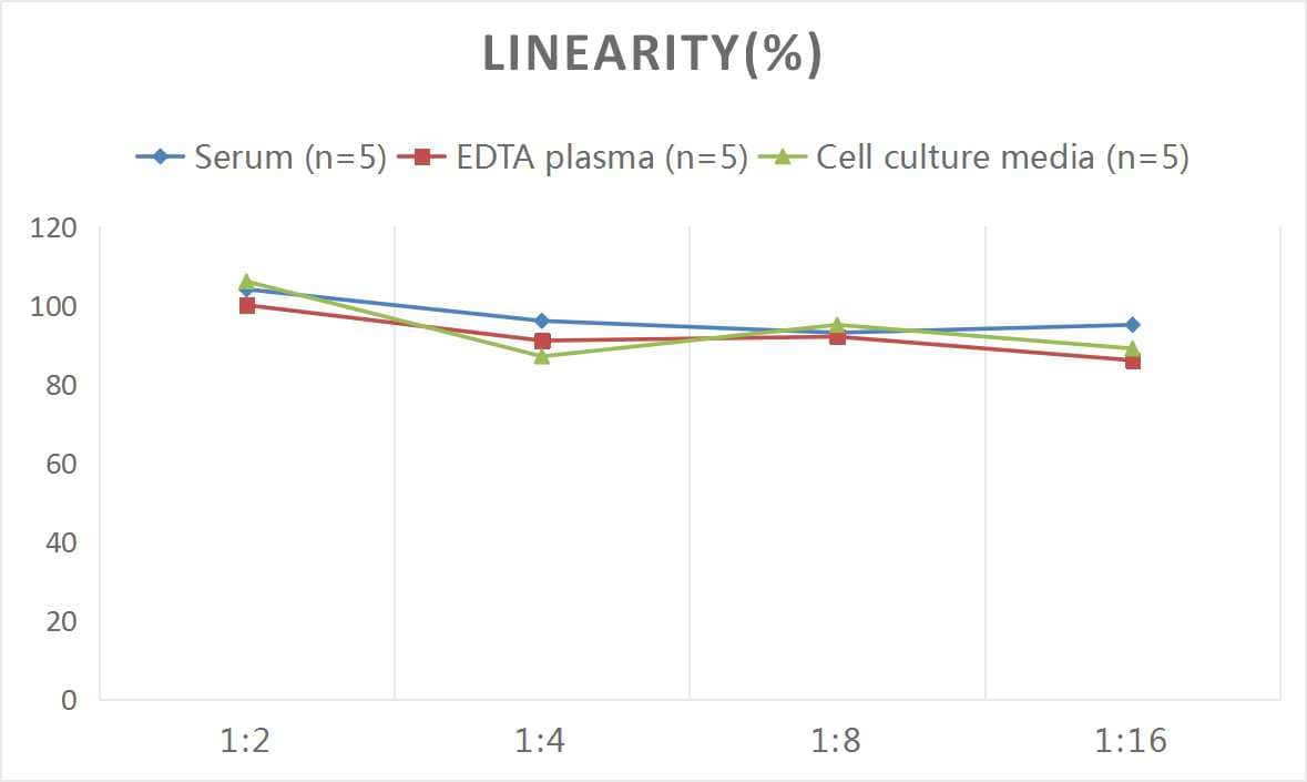 Mouse TfR (Transferrin R) ELISA Kit (Colorimetric)