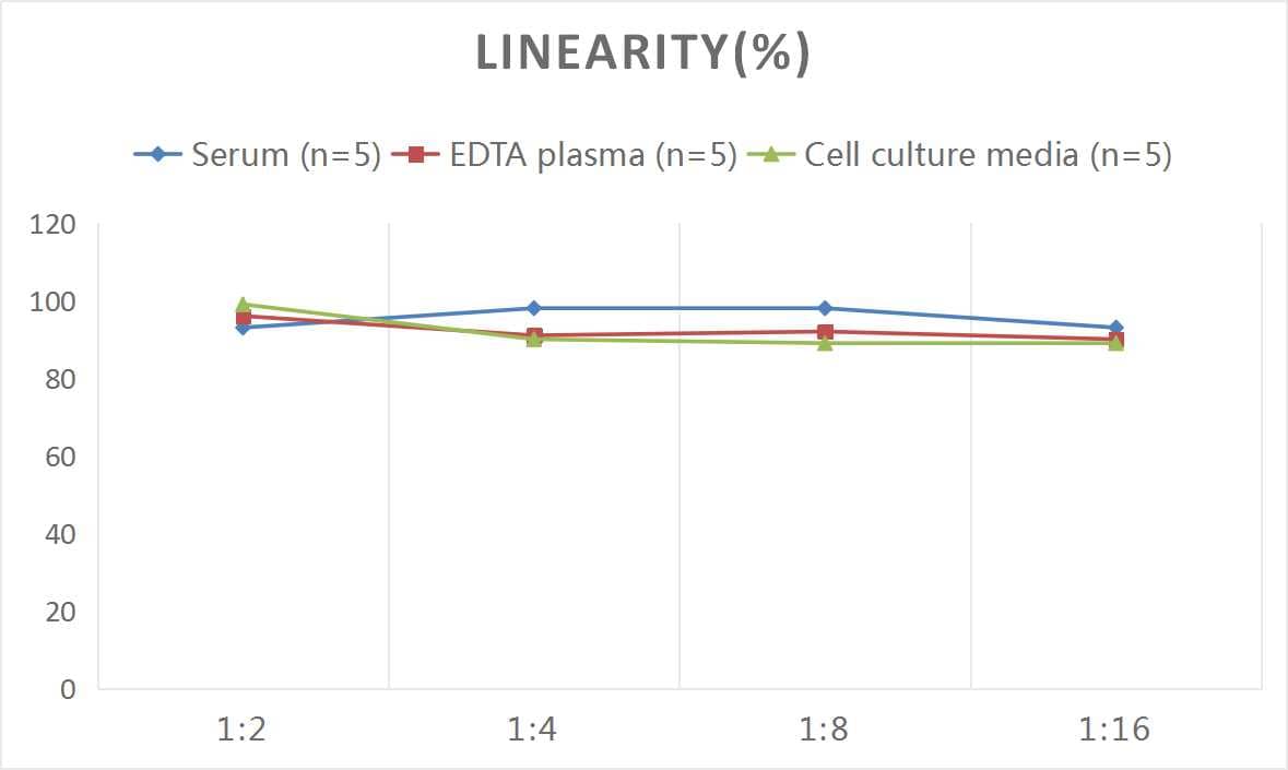 Rat TfR (Transferrin R) ELISA Kit (Colorimetric)