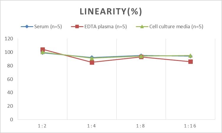 Rat PAR2 ELISA Kit (Colorimetric)