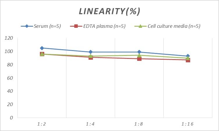 Human mu Opioid R/OPRM1 ELISA Kit (Colorimetric)