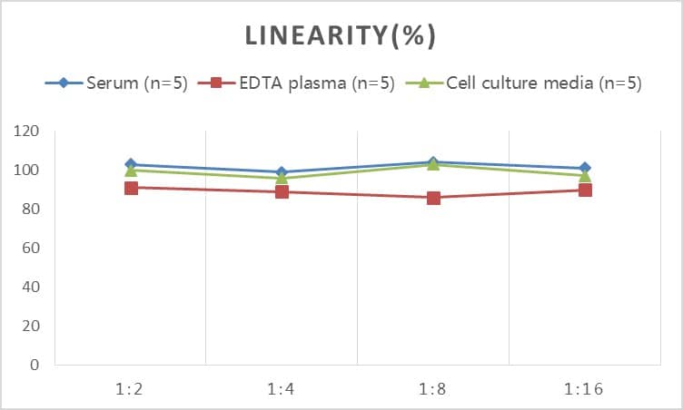 Rabbit Elastin ELISA Kit (Colorimetric)