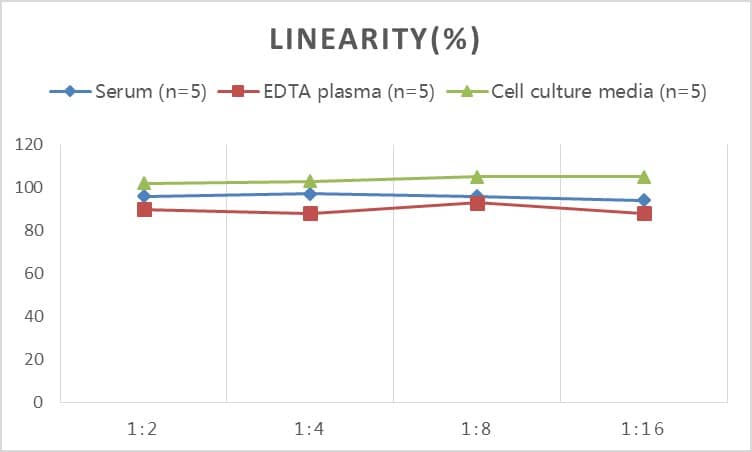 Rabbit MMP-13 ELISA Kit (Colorimetric)