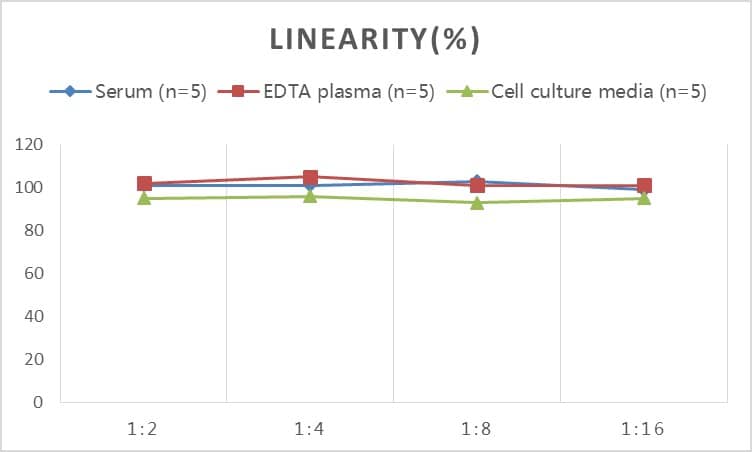 Rabbit MMP-2 ELISA Kit (Colorimetric)