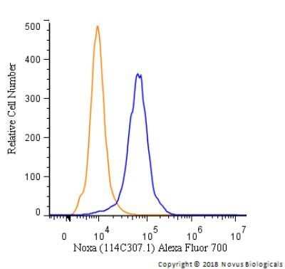 Noxa Antibody (114C307.1R) - BSA Free