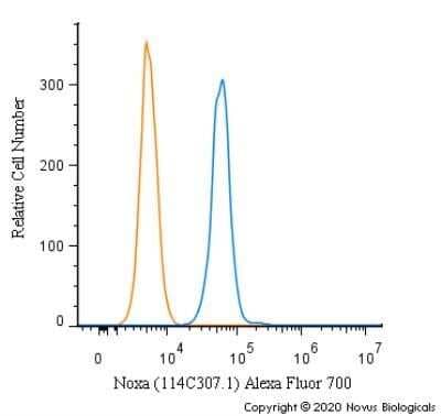 Noxa Antibody (114C307.1R) - BSA Free